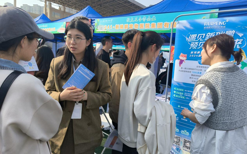 求职者与用人单位交流 求职者与用人单位交流